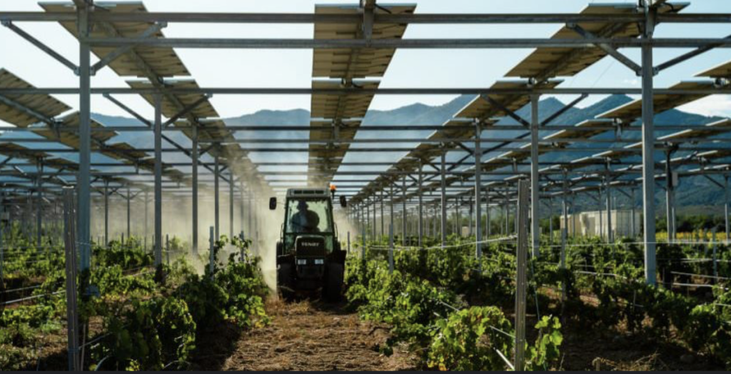 agrivoltaico