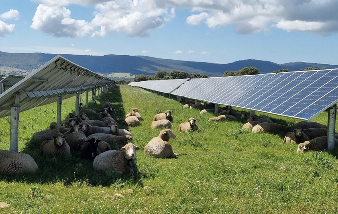 smaltimento pannelli fotovoltaici
